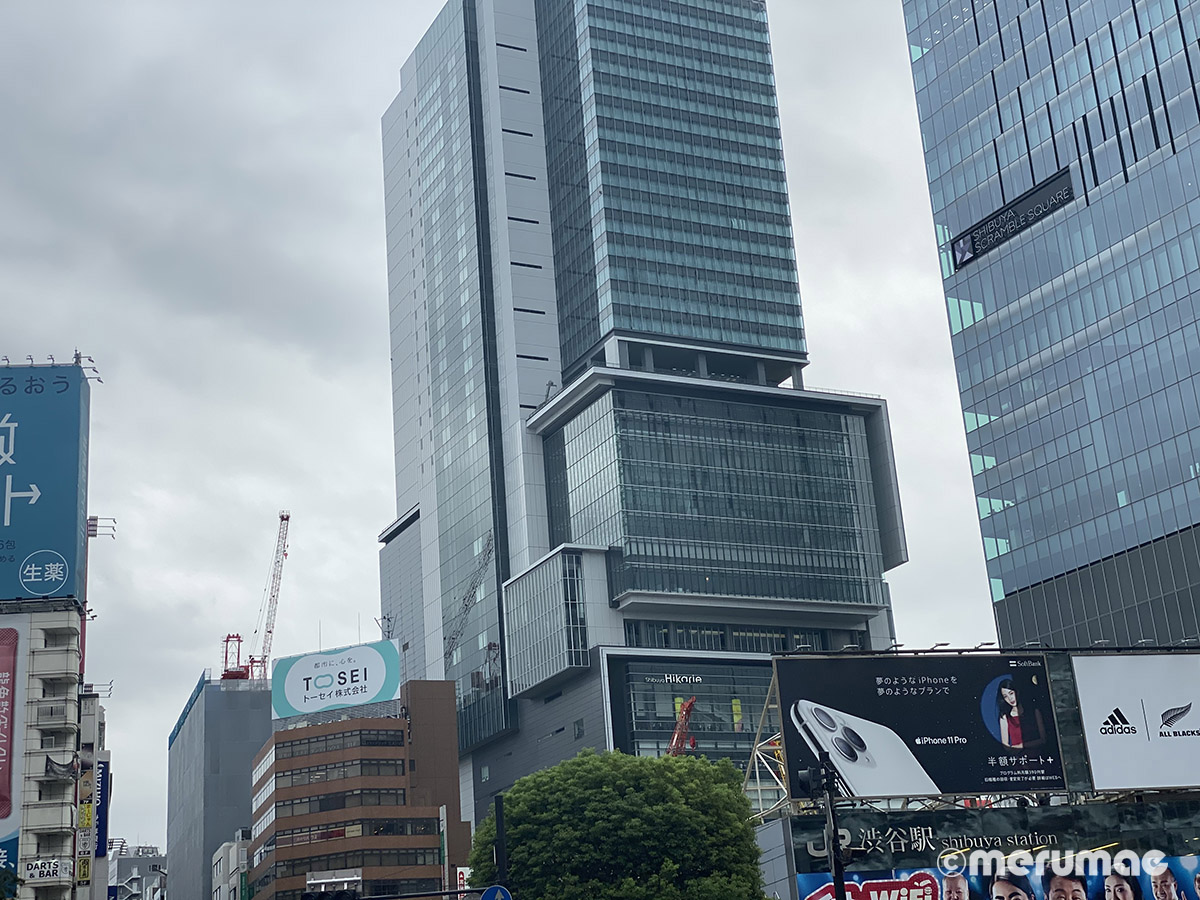 望遠(2x) まあこんな感じよね