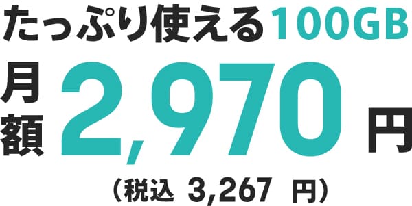 たっぷり使える100GB