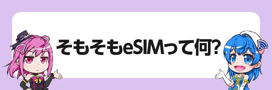 そもそもeSIMって何？