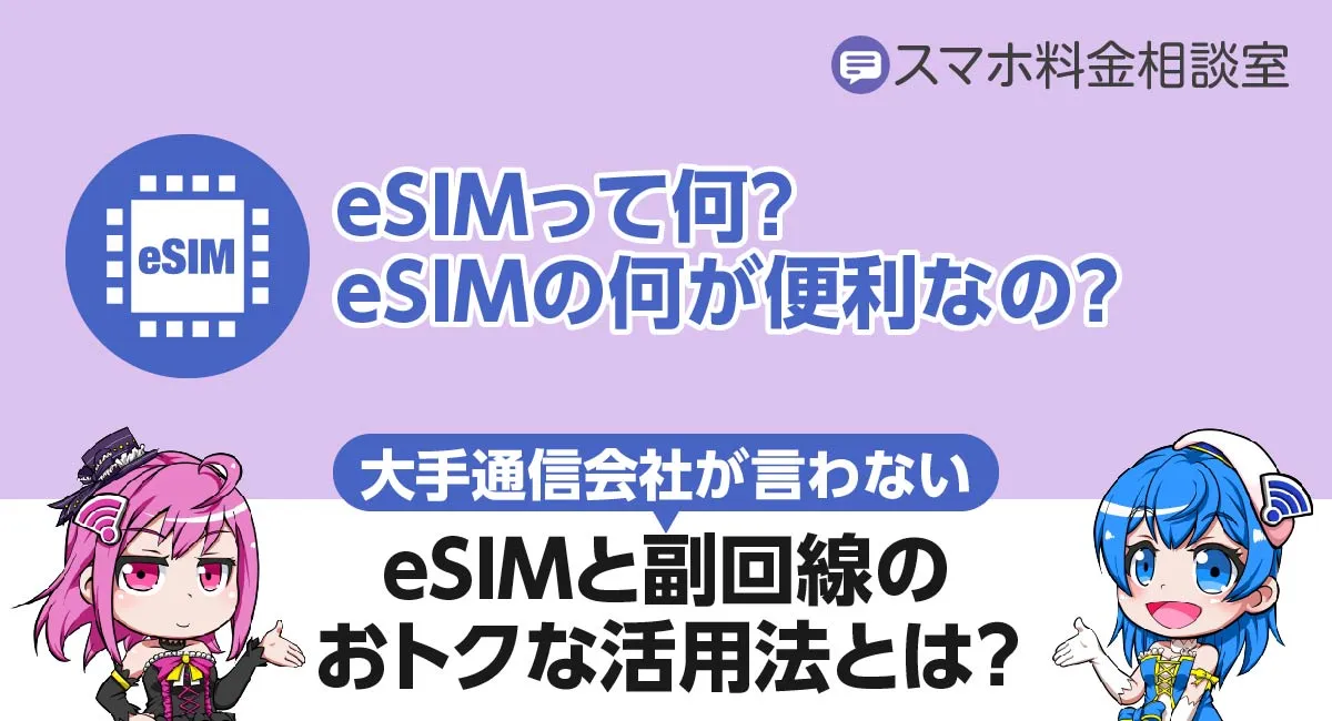 eSIMって何？大手通信会社が絶対言わない「eSIM副回線」のおトクな活用法とは？